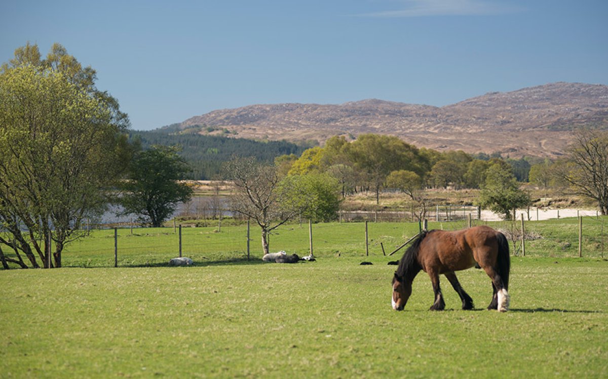 The Old Byre - Langal